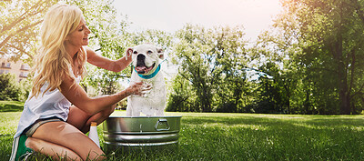 Buy stock photo Shot of a woman bathing her pet dog outside on a summer's day