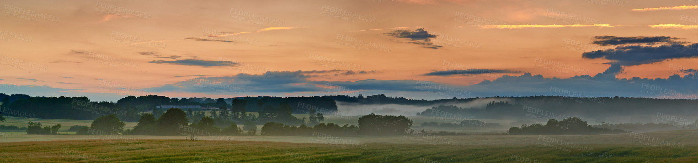 Buy stock photo Sky, wheat and field with sunset outdoor of grain harvest, agriculture farm and crop production of environment. Countryside, nature sunrise and morning horizon, grass growth and sustainable process