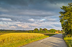 Road, landscape and nature with environment, trees and season with countryside. Empty, travel and outdoor with clouds, tourism and scenic view with plants, ecology and forest with holiday and Japan