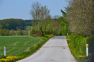 Buy stock photo Roadway, landscape and nature with environment in countryside for travel, private property and landscaping. Trees, estate and street for journey, destination and tourism with outdoor field or plants