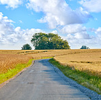 Nature, field and farm with road for adventure, destination and outdoor location for holiday journey. Driveway, sustainable and ecology with growth for plants, travel and landscape in Switzerland