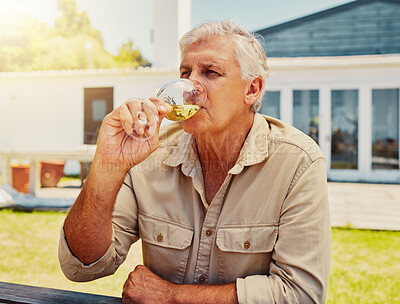 Buy stock photo Wine tasting, glass and mature man with vineyard, holiday and outdoor travel for retirement. Alcoholic beverage, agriculture and luxury drinks with countryside farmer, social event and winery service