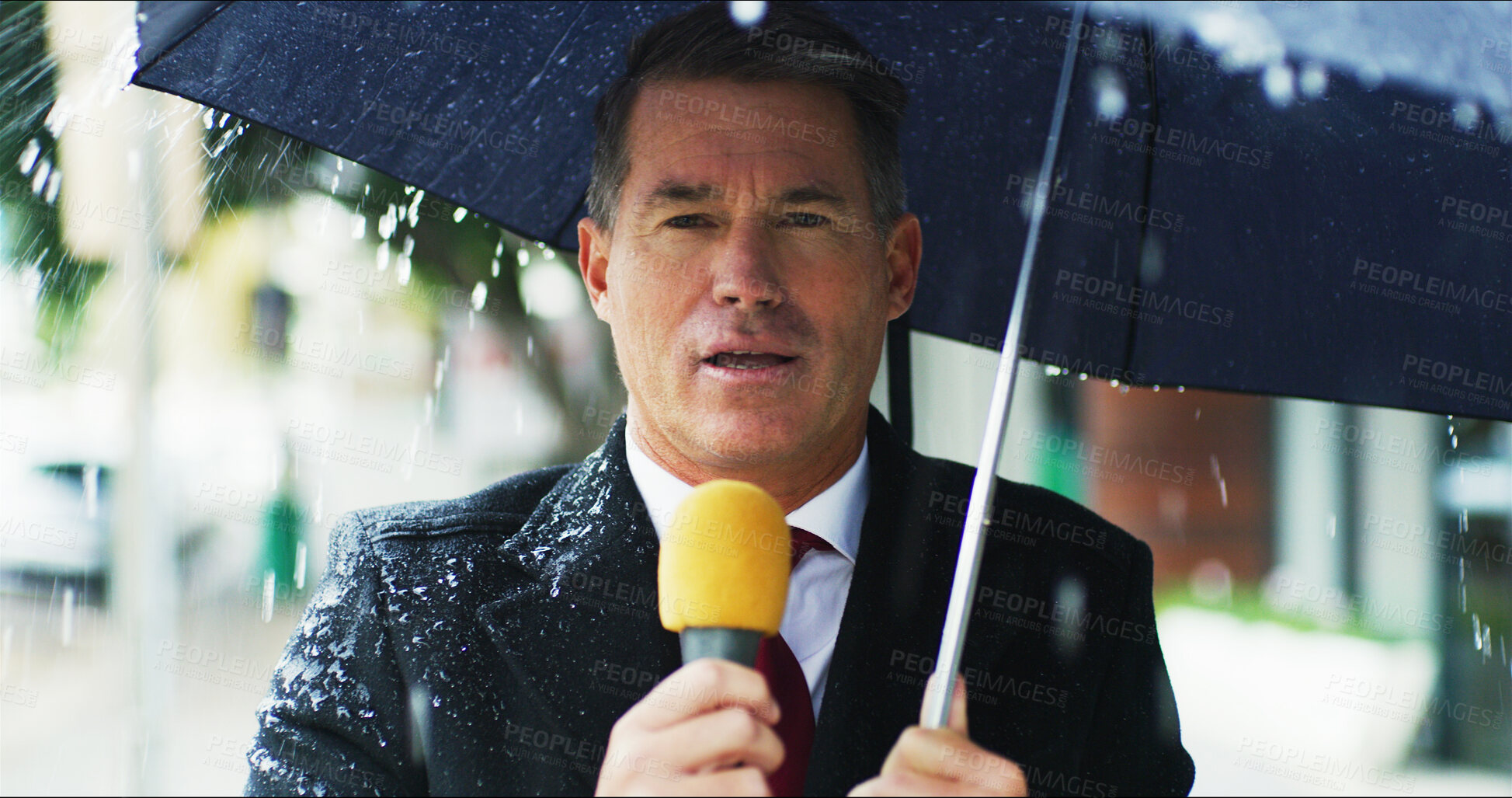 Buy stock photo News reporter, man and portrait with mic in rain for weather forecast, climate prediction and live stream. Journalist, mature anchor and media broadcast with umbrella for storm update or announcement