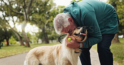Buy stock photo Training, dog and kiss with old man in park for walking, adventure and playing fetch. Animal care, support and morning with person and Labrador pet in nature for bonding, guide and wellness together