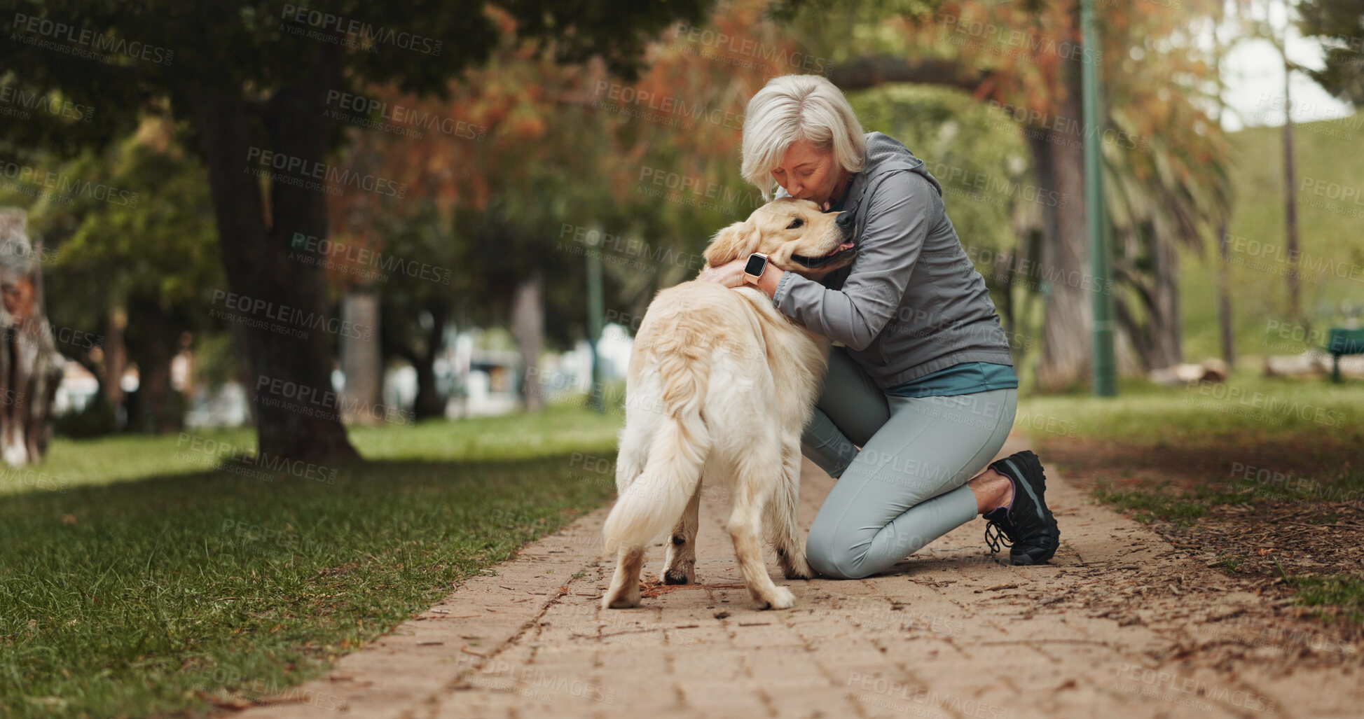 Buy stock photo Love, dog walking and kiss with old woman in park for training, adventure and health. Animal care, support and morning with person and Labrador pet in nature for bonding, guide and wellness.