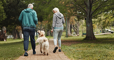 Buy stock photo Back, old couple and walking dog in park together for outdoor fitness, health or wellness. Exercise, hobby or leisure with senior man and woman training pet Labrador in nature for animal obedience