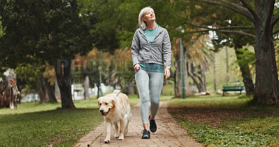 Buy stock photo Walking, dog and peace with old woman in park for fitness training, adventure and health. Animal care, support and morning with person and Labrador pet in nature for bonding, guide and wellness
