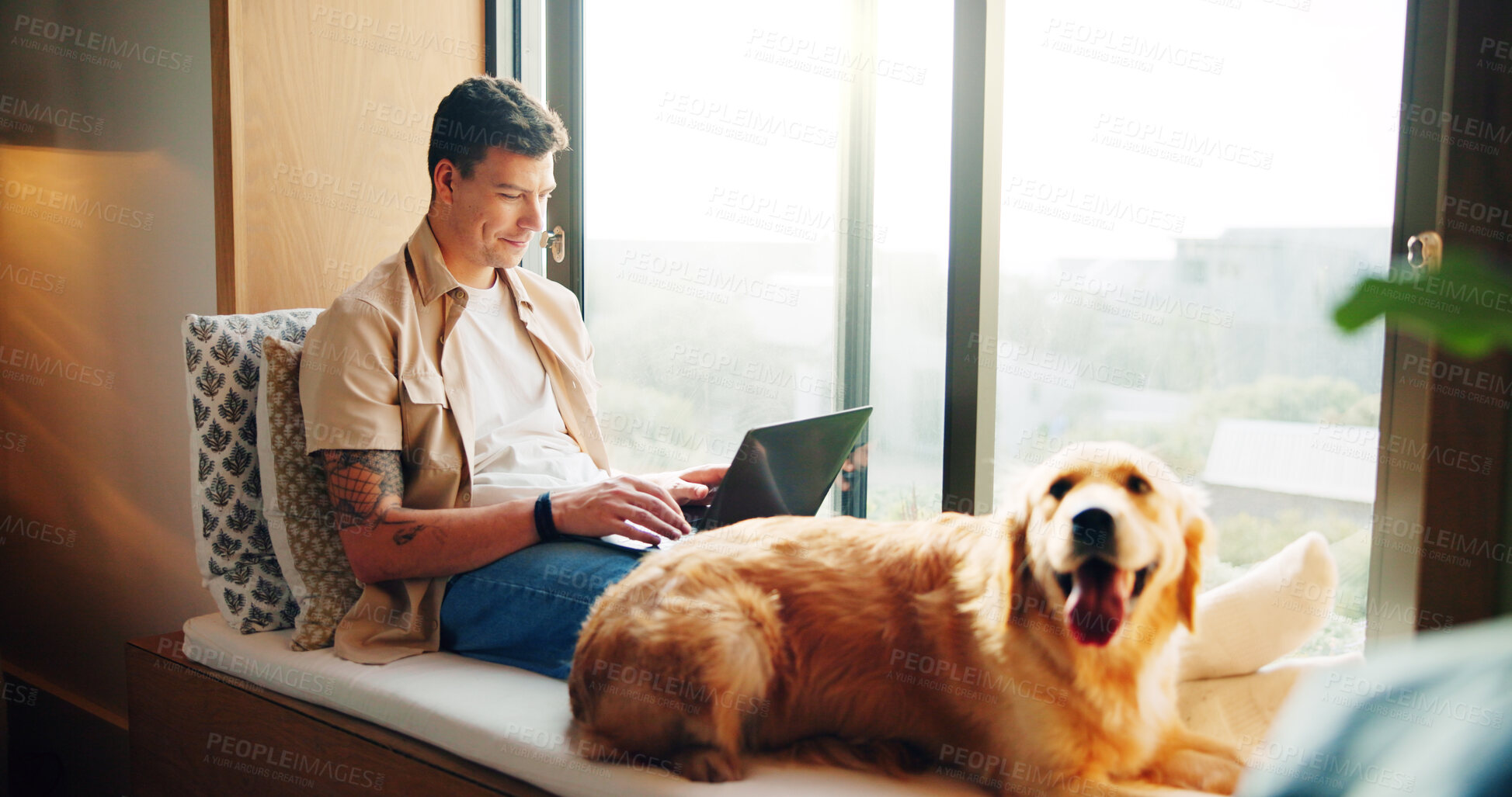 Buy stock photo Man, laptop and dog on couch in home, window and remote work with reading, review and feedback for project. Person, writer and pet golden retriever with typing, editing and creativity at apartment