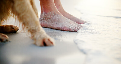 Buy stock photo Relax, dog and feet of person at beach for outdoor vacation in morning with animal, legs or water on toes. Chill, bonding or paws of pet with foot on sand at sea with wellness on holiday trip in Bali