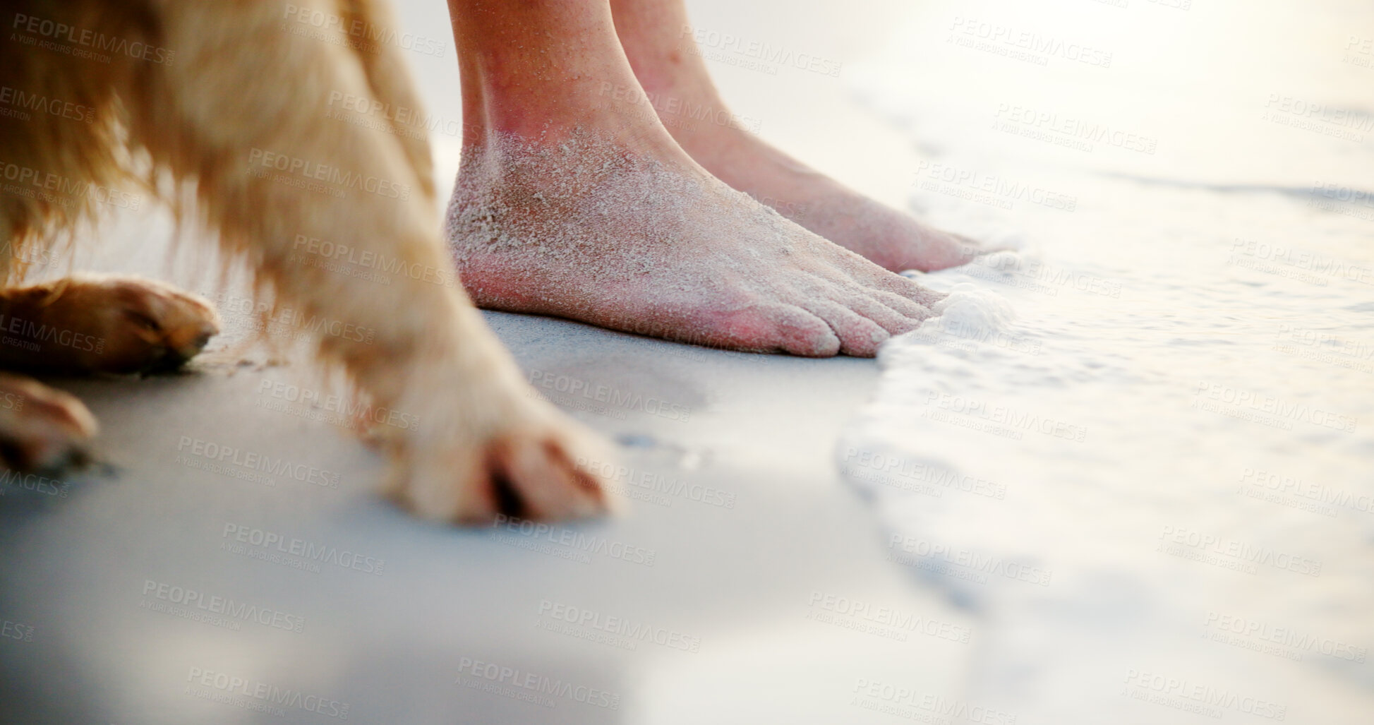 Buy stock photo Relax, dog and feet of person at beach for outdoor vacation in morning with animal, legs or water on toes. Chill, bonding or paws of pet with foot on sand at sea with wellness on holiday trip in Bali