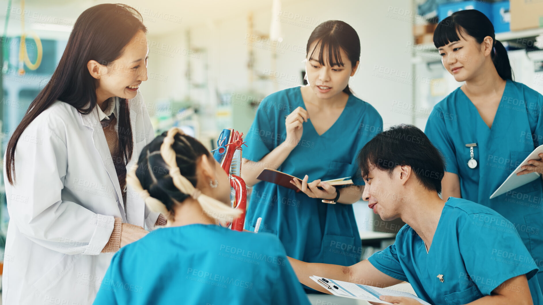 Buy stock photo Doctor, students and heart for medical lesson, education or practical assignment in teaching hospital. Healthcare, learn and group with professor for training on cardiac model at university in Japan