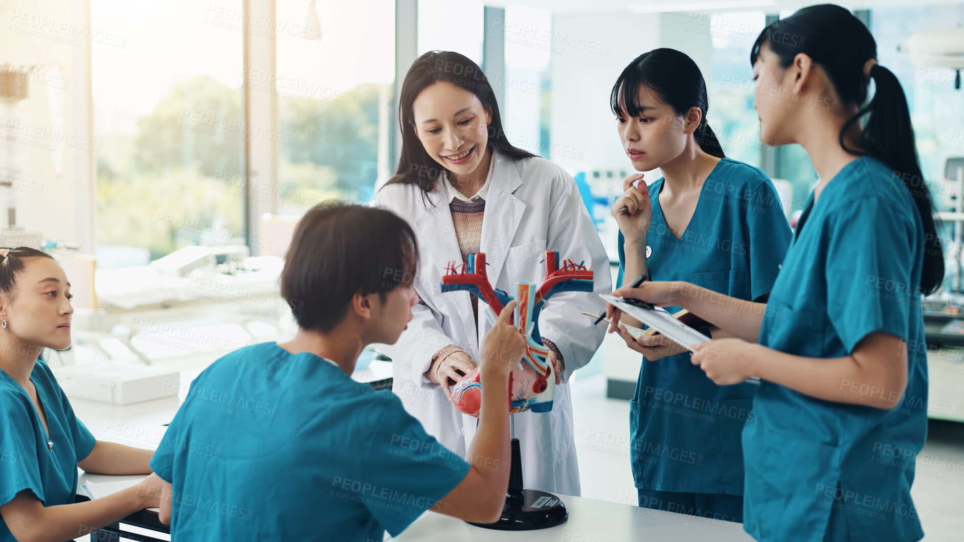 Buy stock photo Doctor, students and heart for medical lecture, education or practical assignment in teaching hospital. Healthcare, learn and group with professor for training on cardiac model at university in Japan