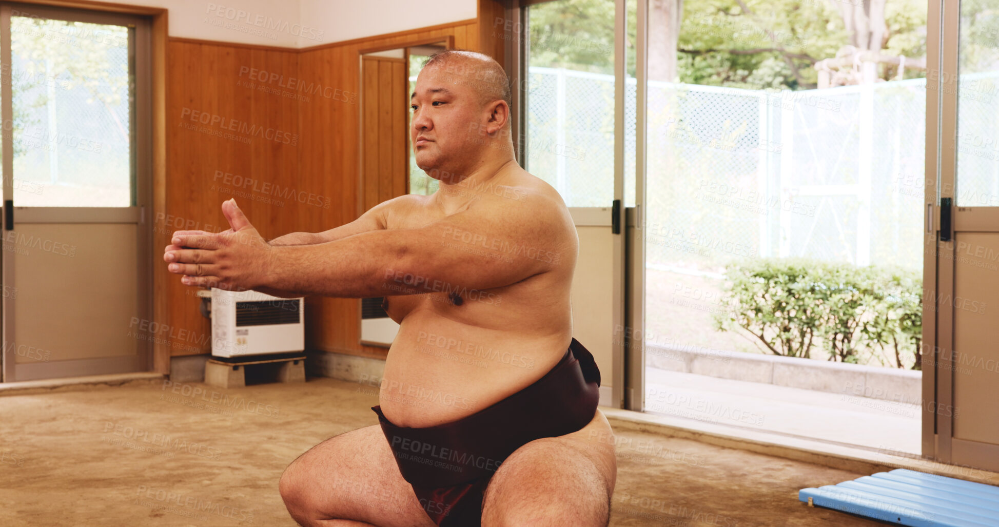 Buy stock photo Athlete, training and exercise for sumo, fitness and wrestler with preparation, skill and technique in ring. Japanese man, fighter and sports in dohyo for culture, workout and wrestling with warm up