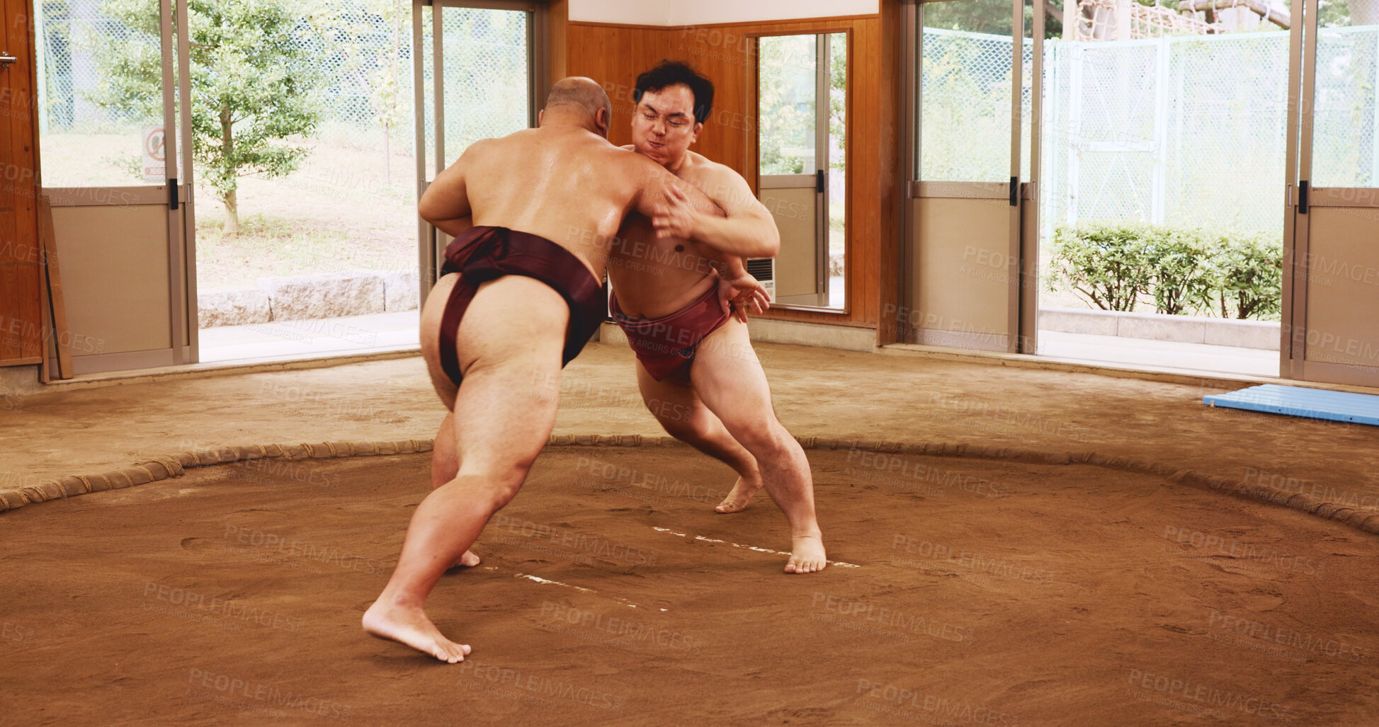 Buy stock photo Japanese men, sumo wrestlers and fight, tradition and culture in dohyo ring. Game, wrestling and training for grappling sport, performance match and martial arts for exercise or combat competition