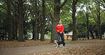 Park, woman and smile with walking dog for exercise, health and bonding in Japan. Outdoor, forest and mature person as pet owner with animal for friendship, love and care with happiness for adoption