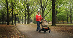 Park, woman and happy with dog on stroller for exercise, health or bonding in Japan. Outdoor, walking and female  person as pet owner with animal for friendship, love and care with smile for adoption