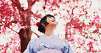 Sakura, park and face of woman with kimono, thinking or outdoor sightseeing in nature with low angle. Culture, inspiration and Japanese girl in spring garden for traditional cherry blossom festival