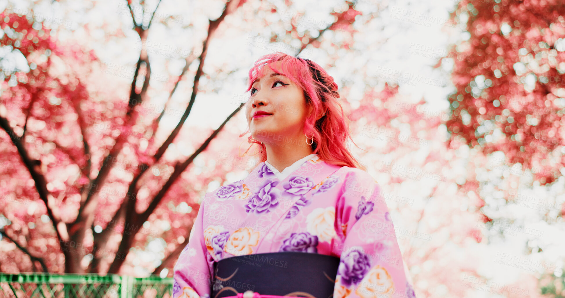 Buy stock photo Cherry blossom, park and girl in kimono, trees and thinking with outdoor sightseeing in nature in low angle. Culture, inspiration and Japanese woman in spring garden for traditional sakura festival