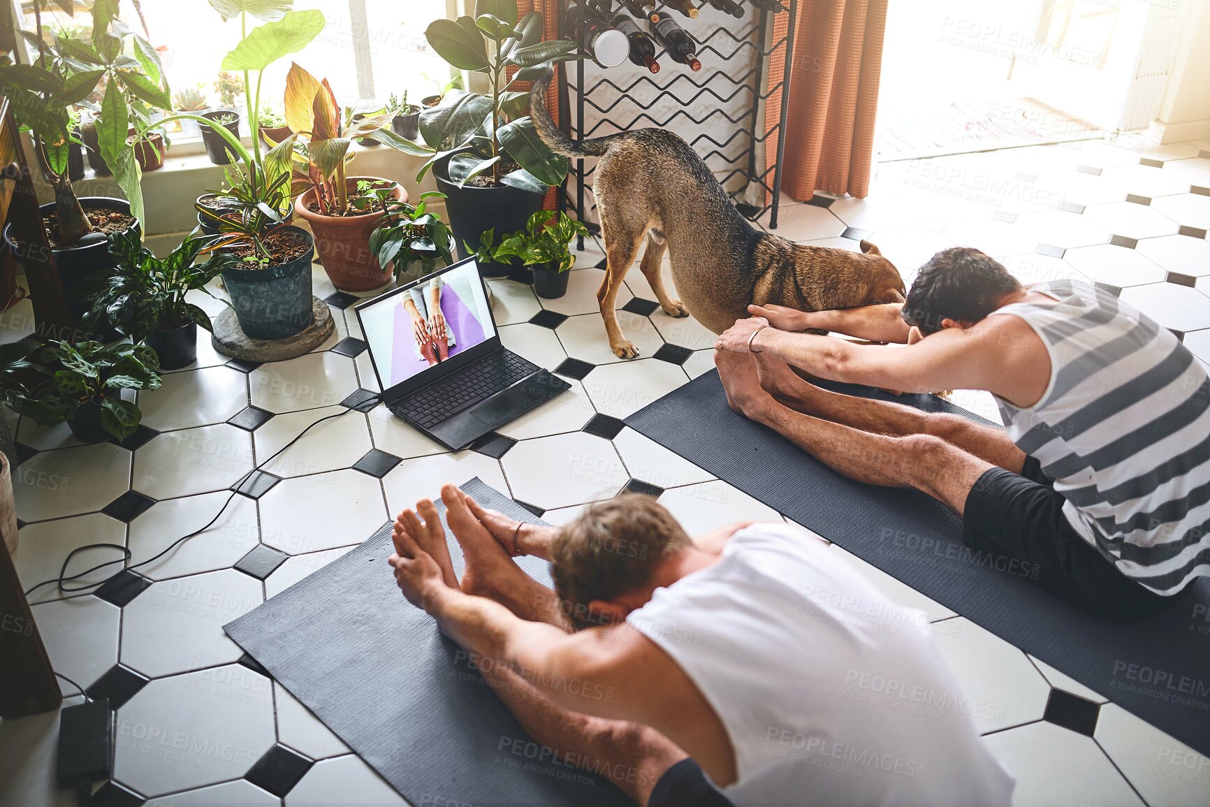 Buy stock photo Men, fitness and stretching with laptop screen for tutorial, yoga lesson or online streaming at home. Male people, friends and pilates with warm up or computer for healthy guide or exercise on mat