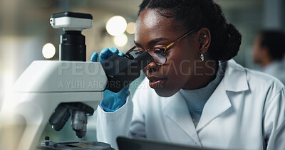 Buy stock photo Black woman, scientist and microscope research for laboratory and medical study with pharma investigation. Virus, staff and vaccine testing for health science with working healthcare professional