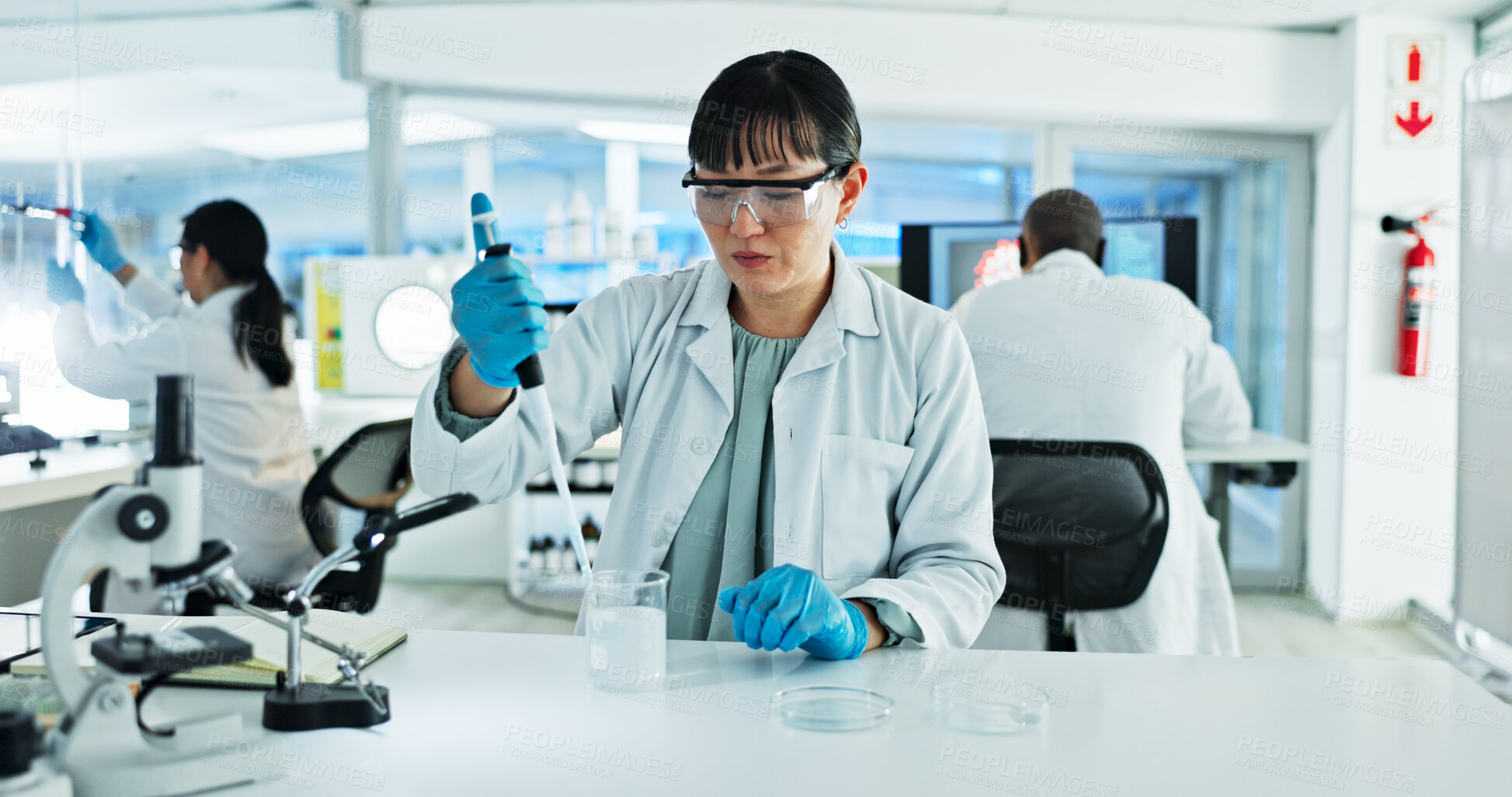 Buy stock photo Scientist, woman and study with pipette, petri dish and sample preparation in biotech laboratory. Biochemistry, bacteria and solution with technician for DNA research, genetic innovation or results