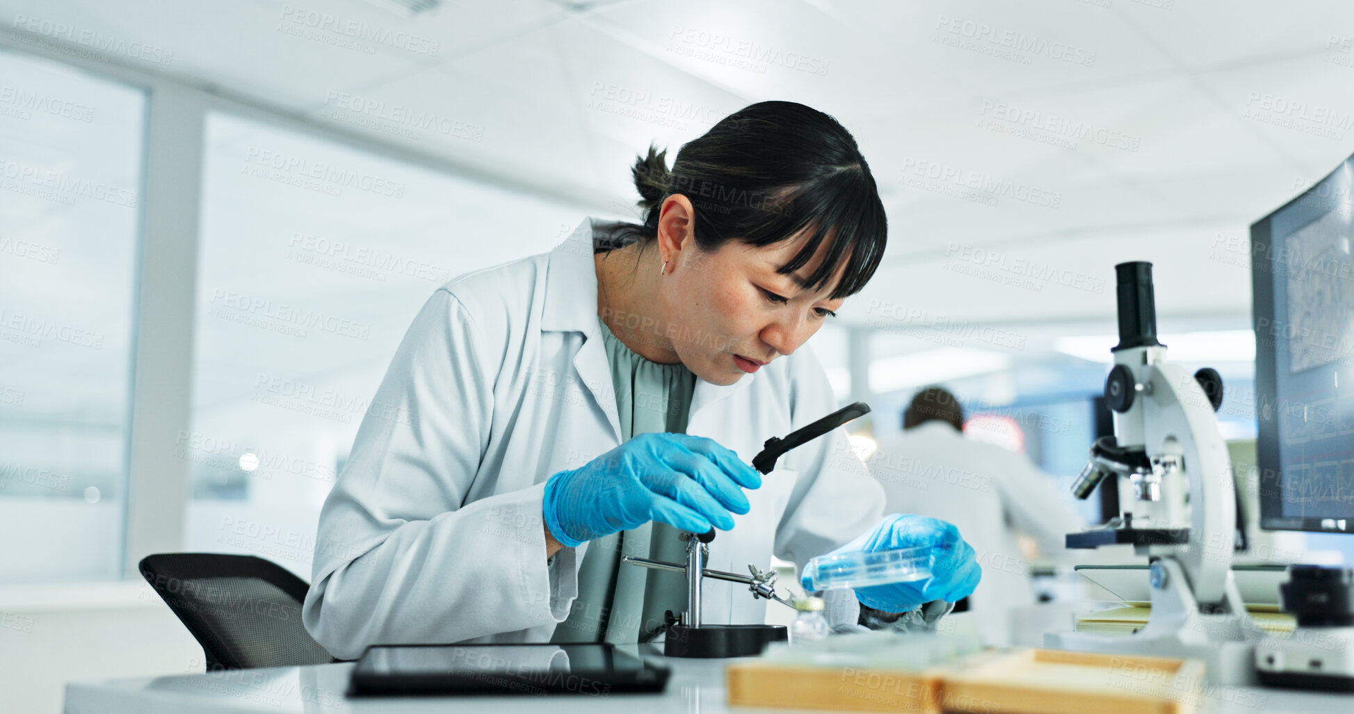 Buy stock photo Scientist, woman and study with magnifying glass, petri dish and sample preparation in laboratory. Biochemistry, bacteria and solution with technician for DNA research, genetic innovation or results