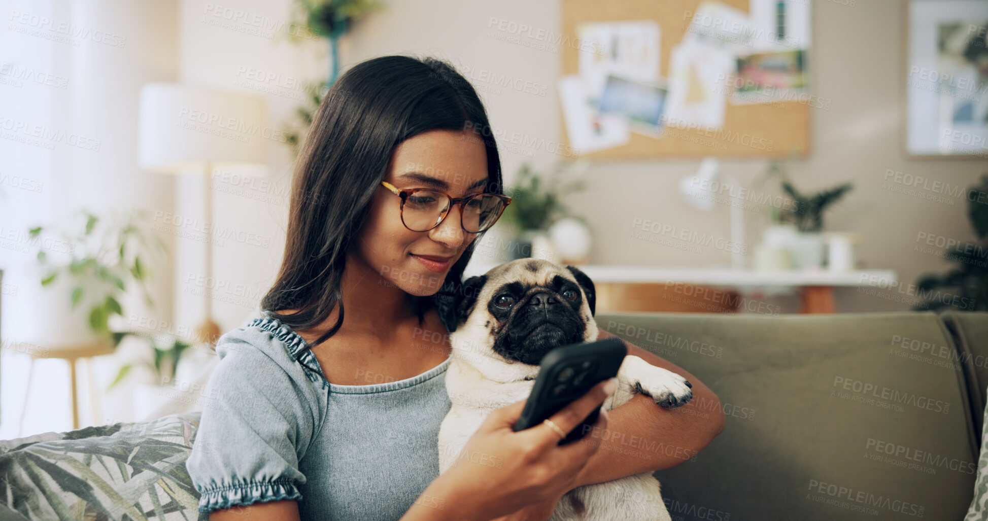 Buy stock photo Reading, dog and phone with woman on sofa for bonding, social media post and pet adoption. Happiness, scroll and animal rescue with person in living room at home for foster care, search or online app