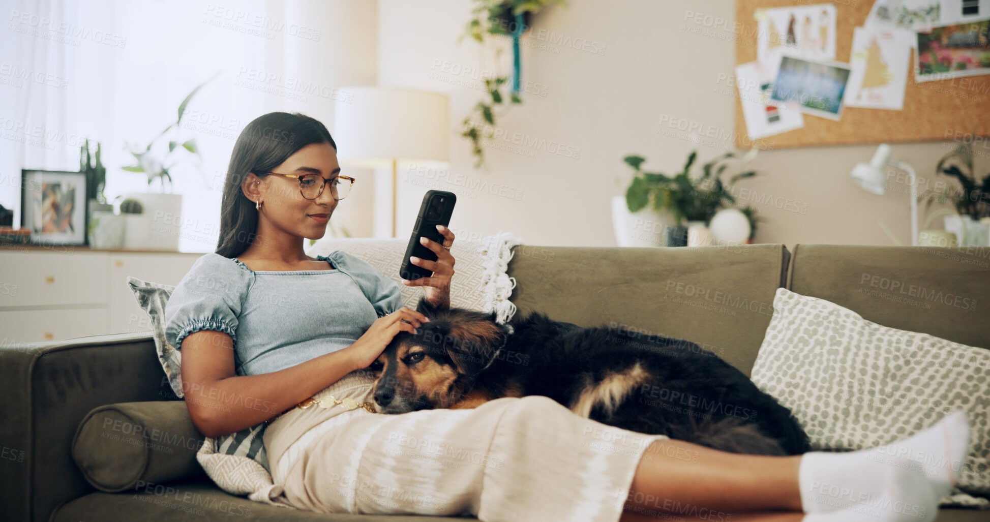 Buy stock photo Search, dog and phone with woman on sofa for bonding, social media post and pet adoption. Happiness, scroll and animal rescue with person in living room at home for foster care, relax and online app