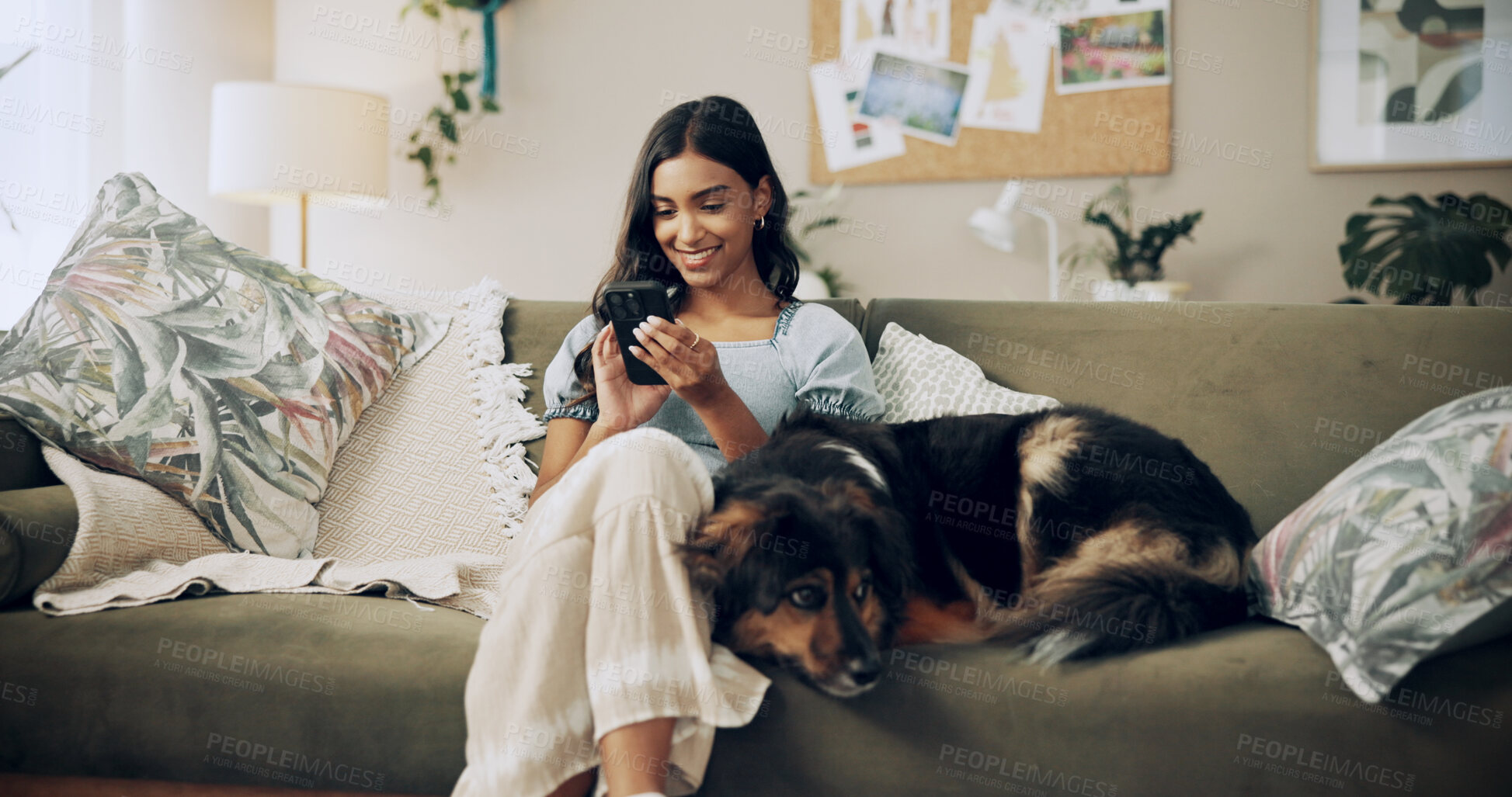 Buy stock photo Woman, phone and dog to relax in home, surfing dating website and online for companion search. Female person, reading ebook and app for communication on couch, pet care and internet for animal info