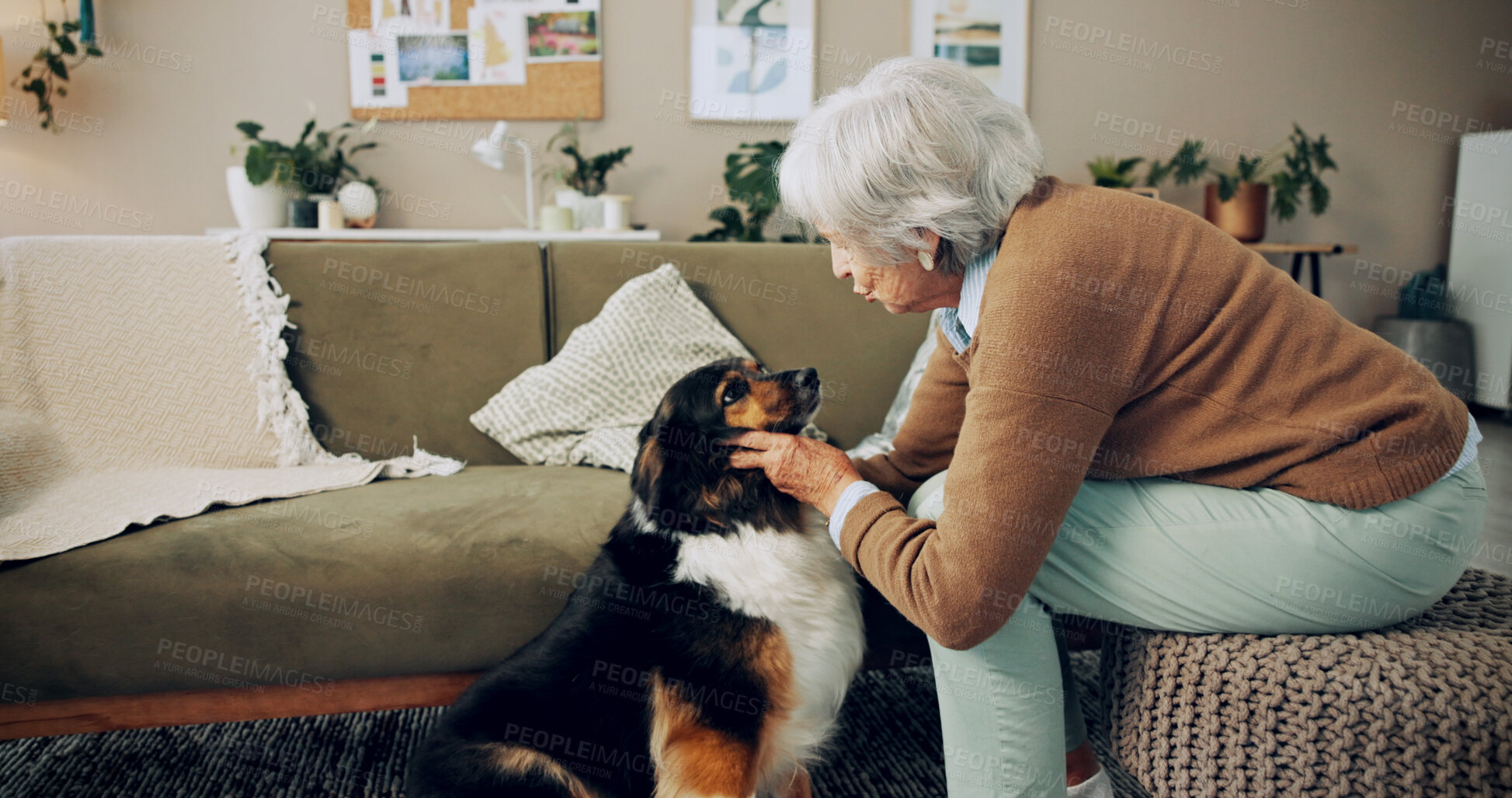 Buy stock photo Senior woman, retirement home and dog with affection, care and bonding for love, companion and play. Female person, pet and emotional support in living room for happiness, joy and kindness as owner