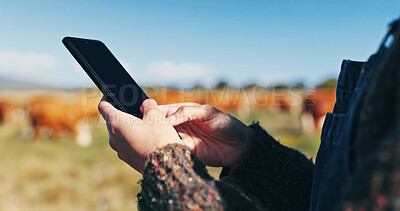 Buy stock photo Woman, hands and farmer with phone on field, agriculture and chat to client for organic beef deal. Female person, outdoor and online for production tips on sustainability, cattle and plan export