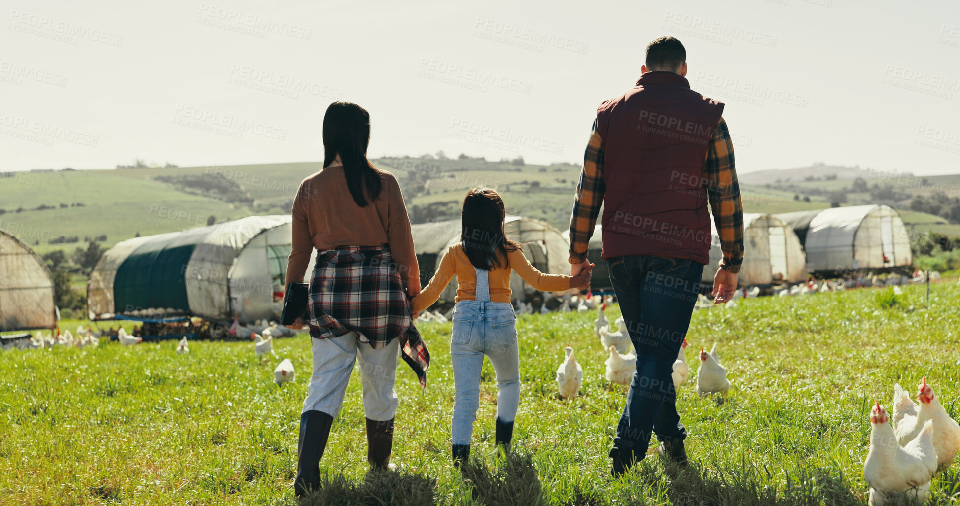 Buy stock photo Back, holding hands and family with agriculture, farm and bonding together with sustainability. Parents, outdoor and mother with father, girl and child with nature, environment and countryside
