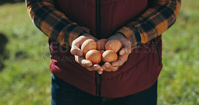 Buy stock photo Person, hands and farmer with eggs for agro business, agriculture or chicken farm on grass field in nature. Closeup, fresh produce or animal stock for natural sustainability, protein or food poultry