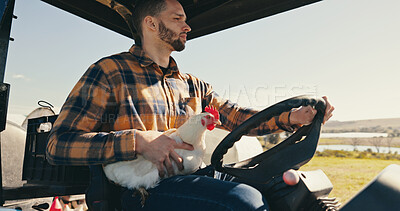 Buy stock photo Chicken, field and farmer with tractor for travel, animal transport and sustainable ecology. Agriculture, countryside and man with machinery for livestock business, poultry and quality control