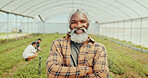 Crossed arms, sustainable and portrait of man in greenhouse for agriculture, eco friendly or produce. Happy, environment and face of mature African male farmer for indoor gardening with vegetables.