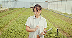 Greenhouse, plants and tablet with woman on farm for agriculture, sustainability and growth. Environment, summer and eco friendly with person and field for crop inspection, quality control and health