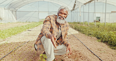 Buy stock photo Portrait, planting and mature man in greenhouse, sustainability and gardener in environment or smile. Gardening, sapling and fertilizer for plants, black person and eco friendly for sprout or ecology
