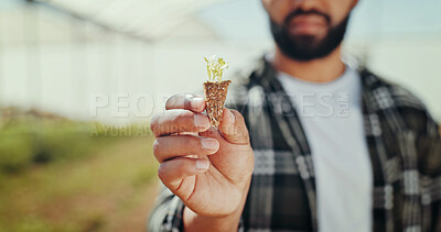 Buy stock photo Greenhouse, plants and hand of man on farm for agriculture, sustainability and seed growth. Environment, summer and eco friendly with person and closeup for crop inspection, quality control or health