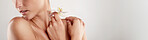 Woman, shoulders and hands with flower for skincare, natural beauty or hygiene on a white studio background. Closeup, female person or model with plant petal on banner for dermatology on mockup space