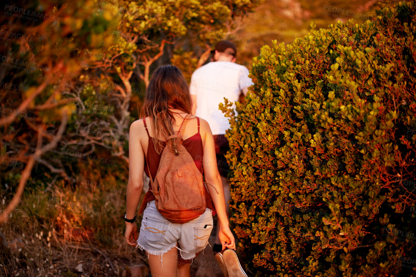 Buy stock photo Woman, back and walking on mountain for countryside, travel or adventure to explore nature. Journey, group of friends and vacation with natural environment for hike, fitness hobby or bonding together