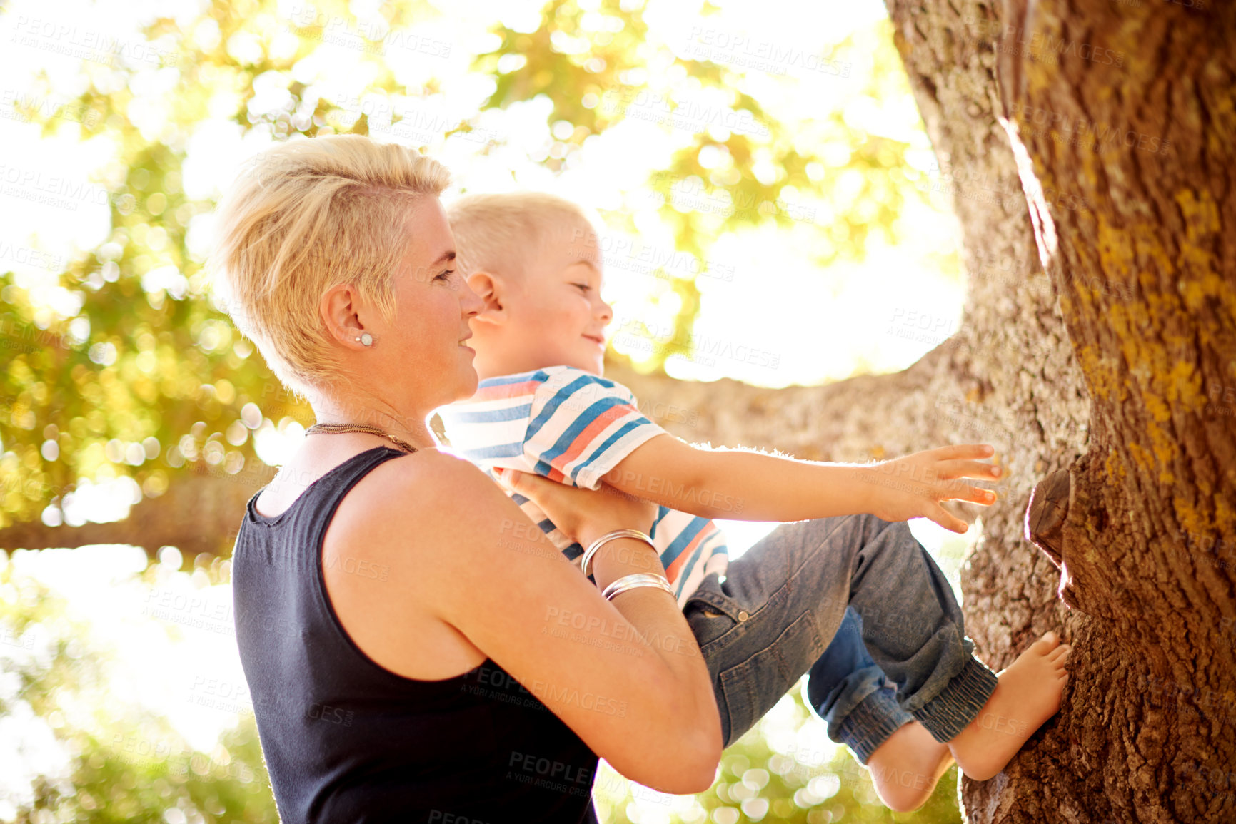 Buy stock photo Happy, climbing and mother with child in tree for playing, childhood and adventure outdoors. Nature, family and mom with young boy in branches for development with activity, fun and explore in park