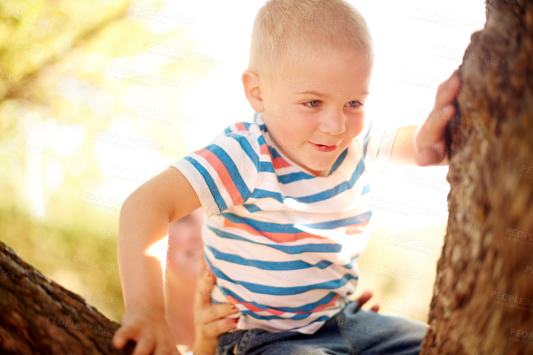 Buy stock photo Happy, climbing and child in tree for playing, childhood and adventure outdoors. Nature, sunlight and young boy in branches for youth development with activity, having fun and explore in park