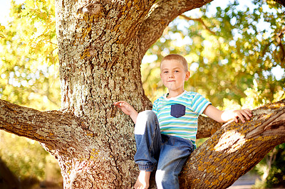 Buy stock photo Happy, climb and portrait of child in tree for playing, childhood and adventure outdoors. Nature, sunlight and young boy in branches for youth development with activity, fun and explore in park