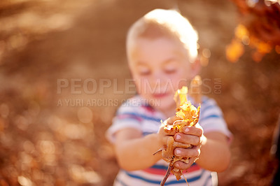Buy stock photo Hands, leaves and boy in park, game and energy with weekend activity, explore and curious. Happy kid, outdoor and childhood with sunshine, countryside and forest with break, nature and adventure