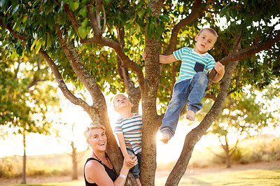 Buy stock photo Happy, climbing and mom with children in tree for playing, childhood and adventure outdoors. Nature, family and mother with kids in branches for development with activity, fun and explore in park