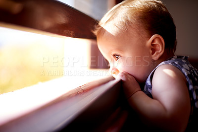Buy stock photo Baby, girl and window with sunlight for dream, vision or curious little child in wonder for playful day. Thoughtful, infant or kid looking out with sight for childhood, explore or youth development