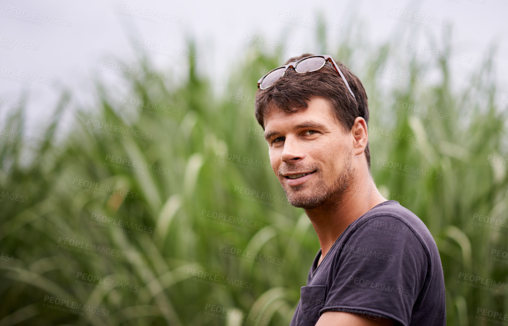 Buy stock photo Sustainable farming, smile and portrait of man in corn field with confidence, growth and crops. Biodiversity, agriculture and happy farmer in countryside with plants, food production and nature