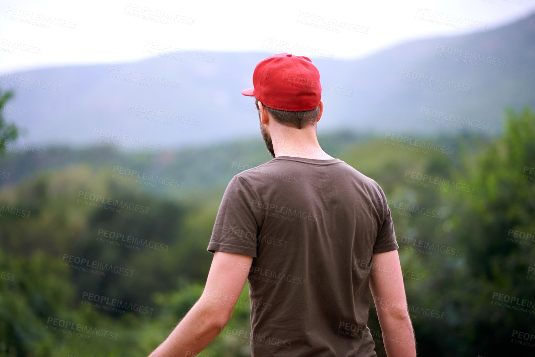 Buy stock photo Back, view and man in nature, travel and tourism of environment in woods, fresh air and countryside. Outdoor, scenery and holiday for person in forest, sustainability and location for vacation