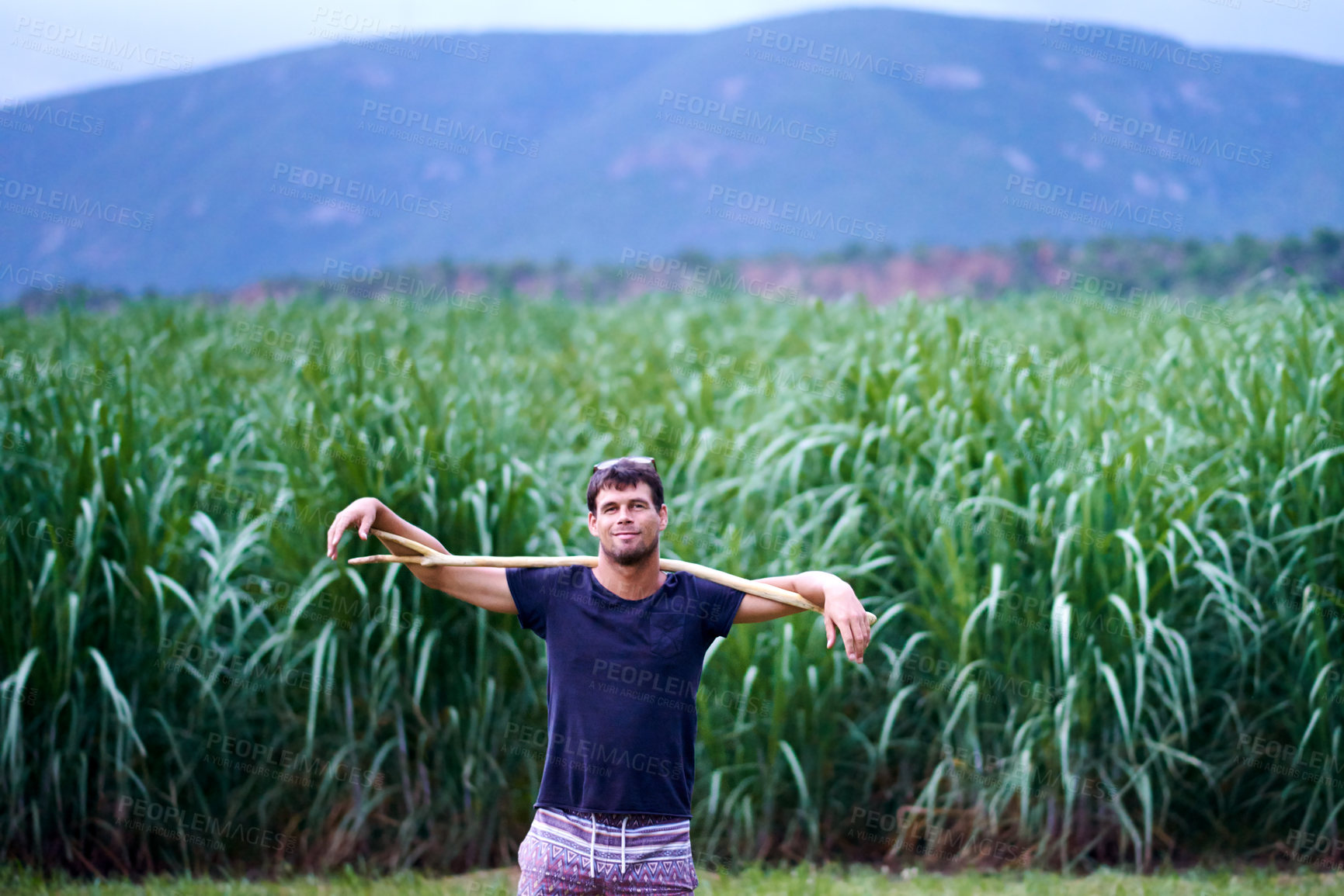 Buy stock photo Sustainable farming, confidence and portrait of man in corn field with smile, growth or organic crops. Biodiversity, agriculture and happy farmer in countryside with plants, food production and pride