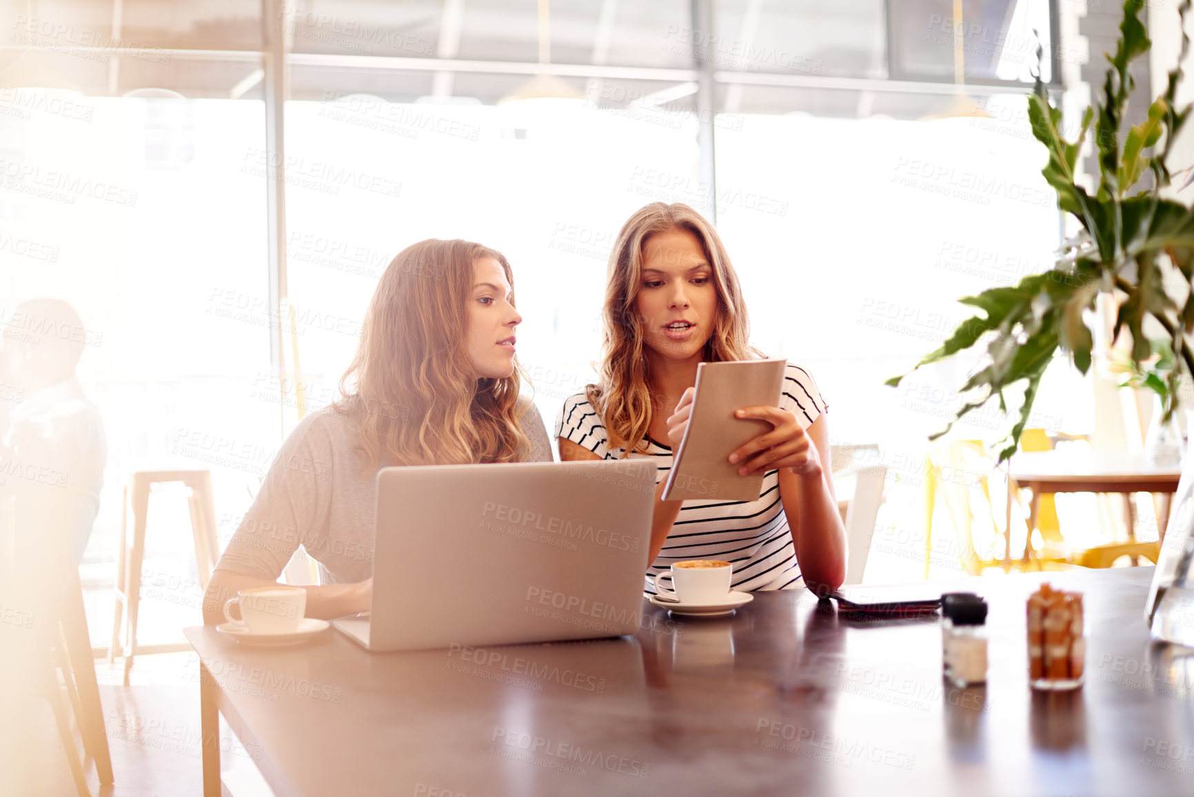 Buy stock photo Laptop, meeting and notes with sisters in coffee shop together, partnership or small business management. Collaboration, computer and planning with woman twin siblings in restaurant as store owners